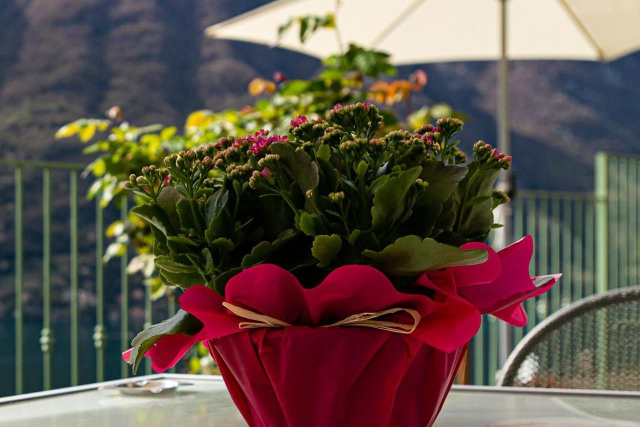 Romantic Home - Lake Como Nesso Esterno foto